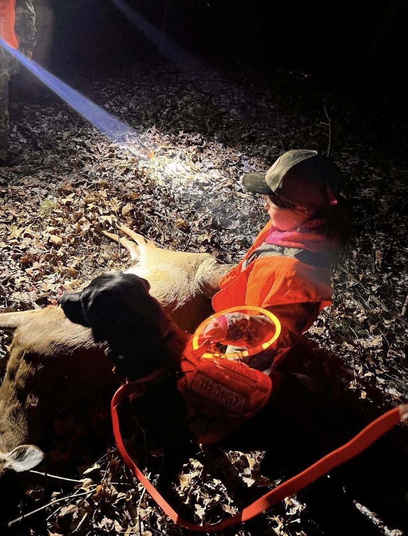 Tracking dog beside a recovered deer at night with a person in blaze orange