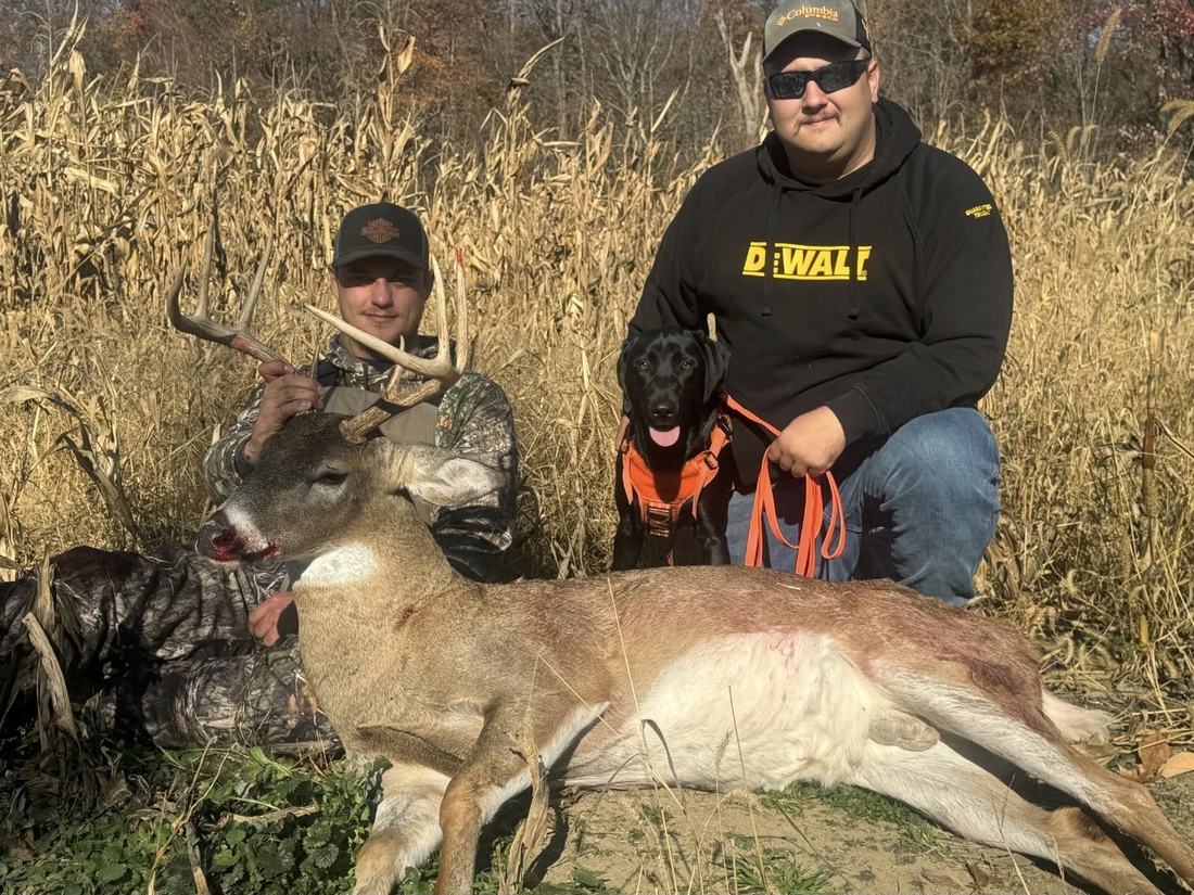 Hunter and handler with a recovered buck and tracking dog in a cornfield